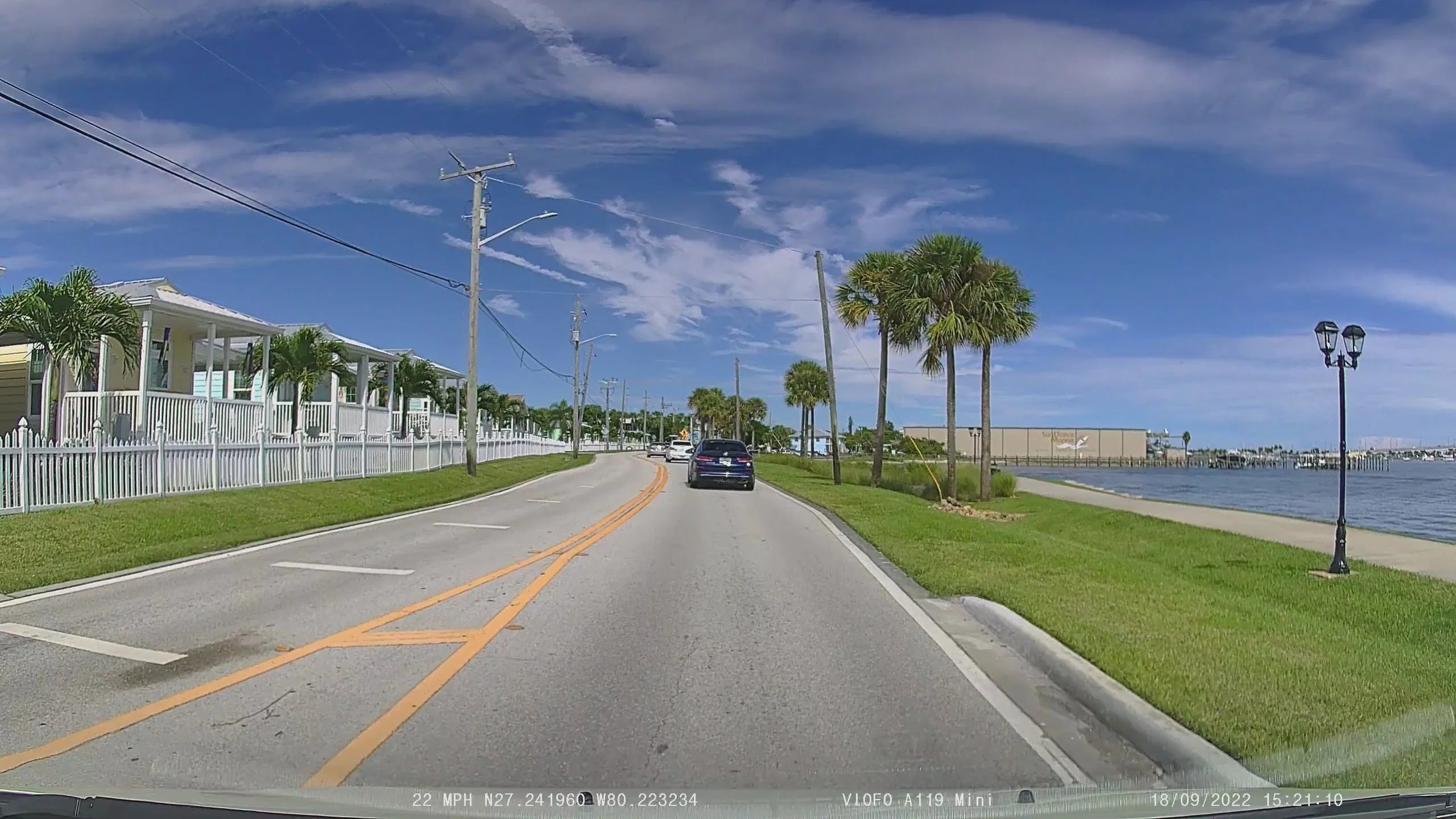 Street scene with palm trees, a car, and waterfront view.